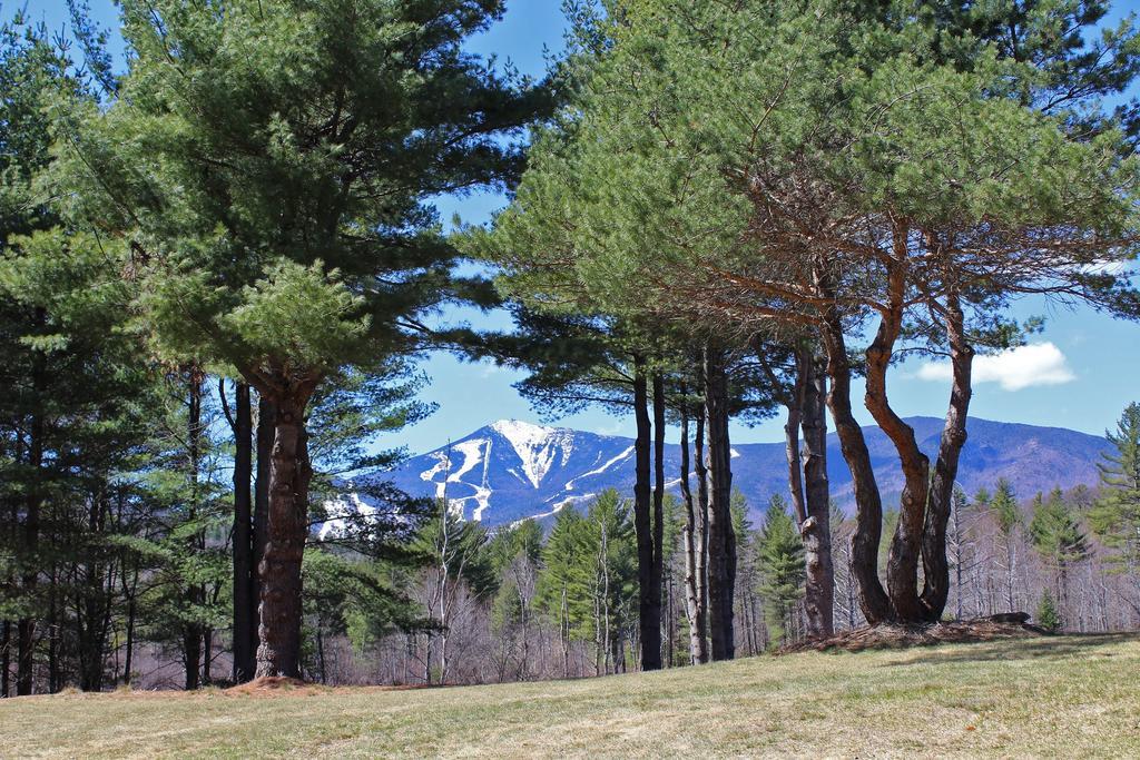 فيلا Esther Mountain Chalet ويلمنجتون المظهر الخارجي الصورة