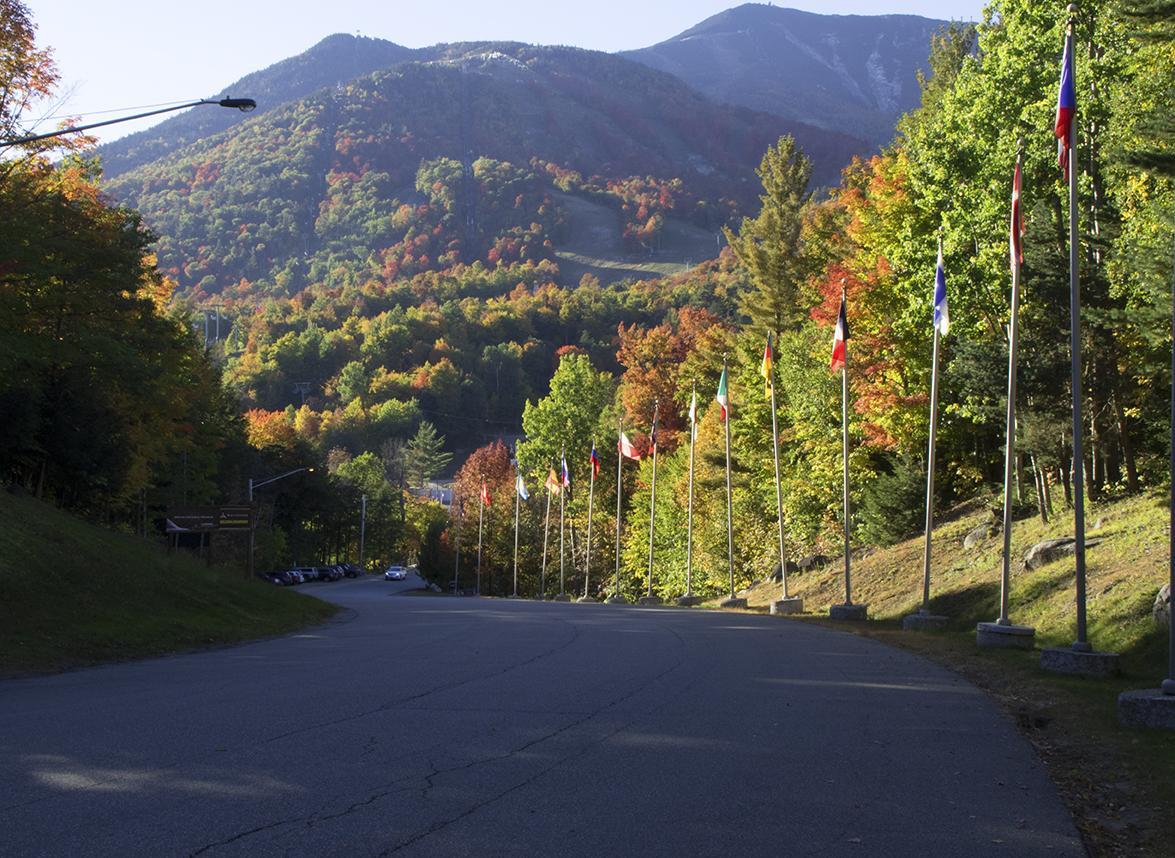 فيلا Esther Mountain Chalet ويلمنجتون المظهر الخارجي الصورة